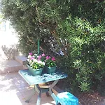 Miriam Karol Apartament