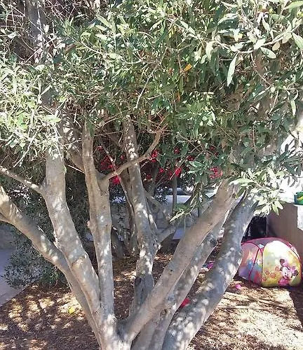 Miriam Karol Apartmán Rukavac (Vis)